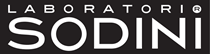 logo sodini